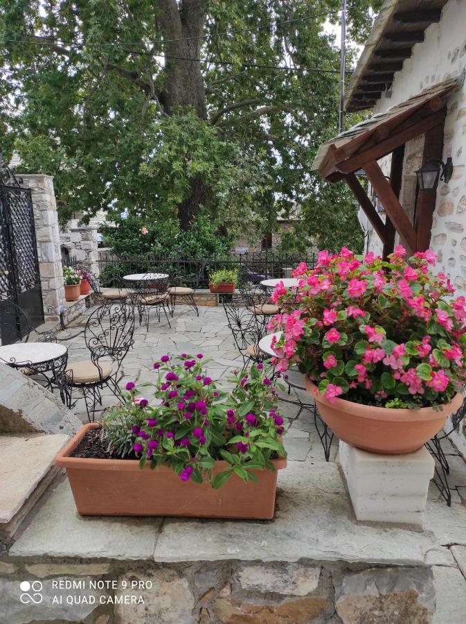 Θετισ Hotel Vizitsa Exterior photo